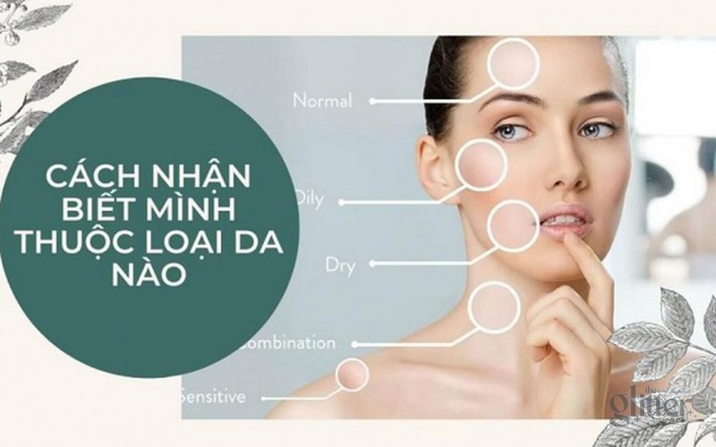 PHÂN LOẠI CÁC LOẠI DA